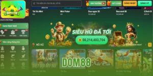 Dom88