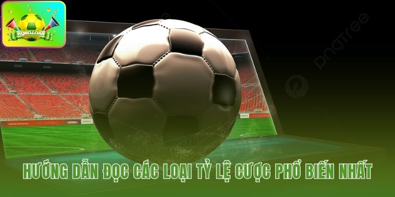 Nắm bắt thị trường qua các tỷ lệ cược phổ biến