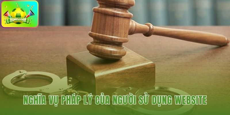 Người dùng tự gánh vác hệ quả từ mọi quyết định