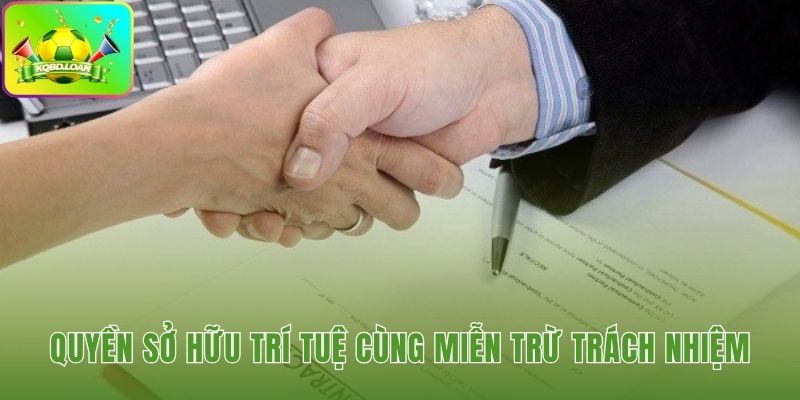 Điều khoản sử dụng về tài sản và giới hạn pháp lý