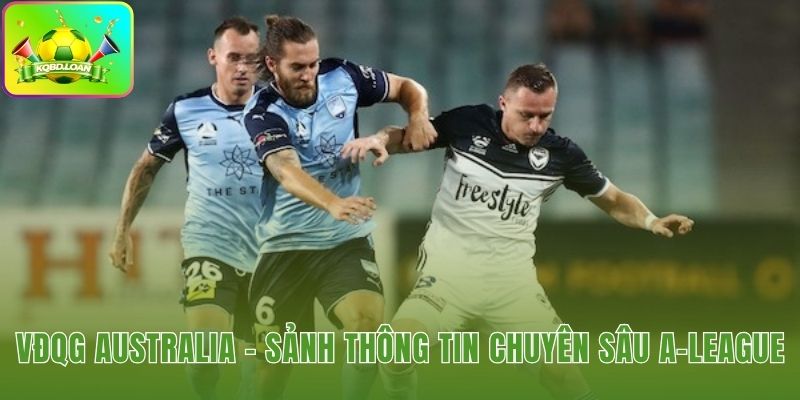 Nền tảng kiến thức về thể thức VĐQG Australia