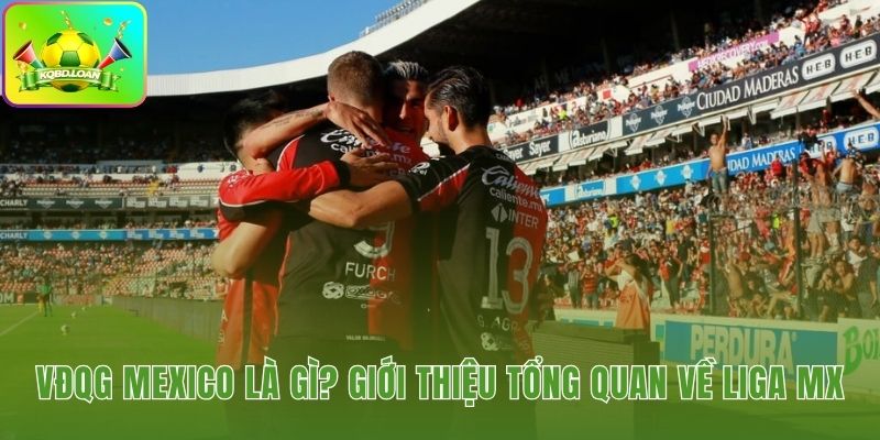 Sơ lược VĐQG Mexico giải đấu cao nhất của 18 CLB